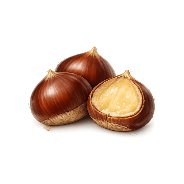 Chestnut