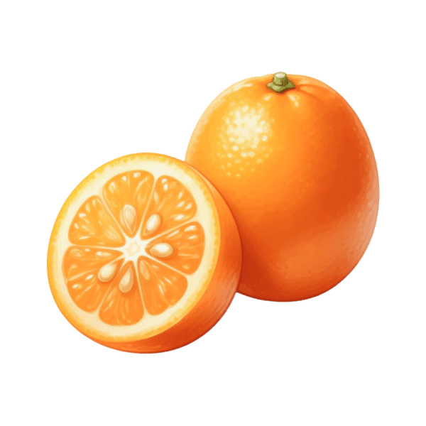 Kumquat