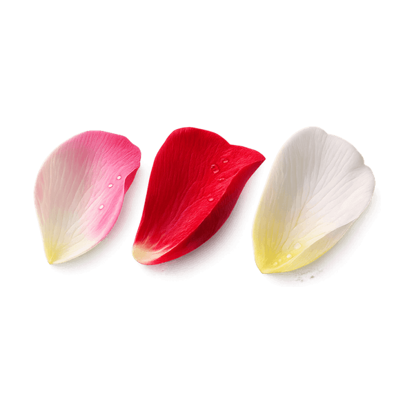 Rose Petals
