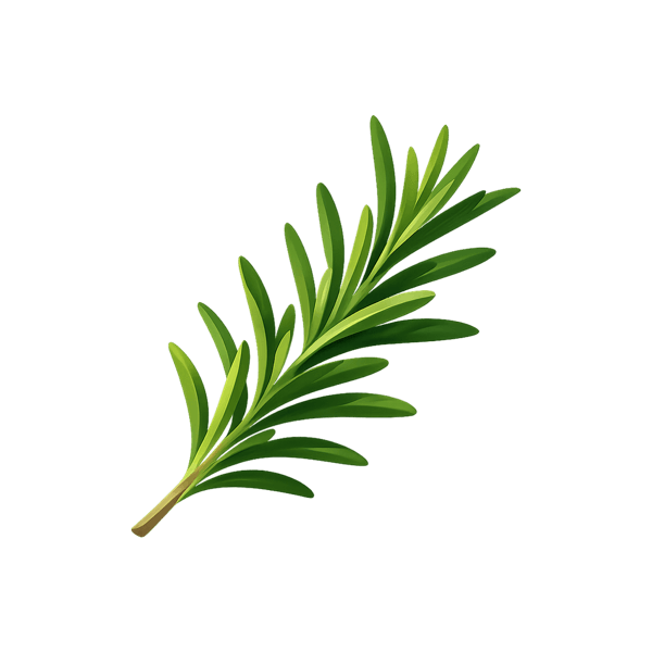Rosemary
