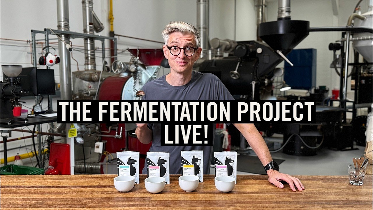 One Coffee, Four Fermentations: The Difference Showed Up in the Mouth, Not the Aroma