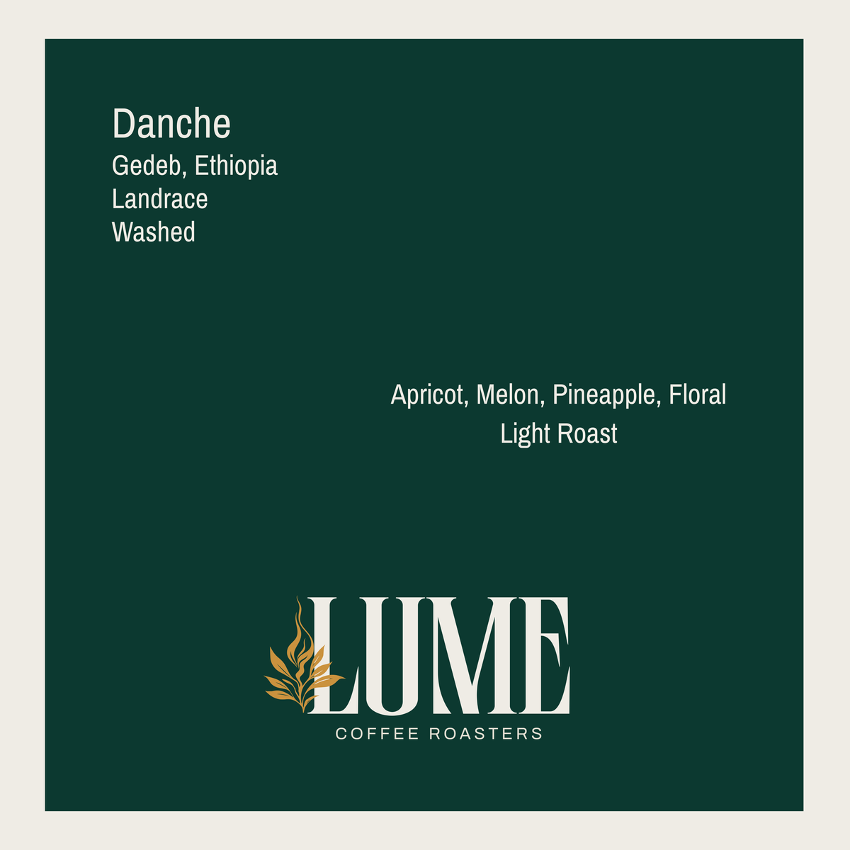 Lume Roasters